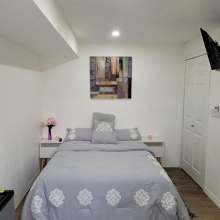 Cozy Studio Apt Apartment Orlando Bagian luar foto